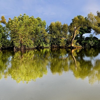 Lagatic River Cruise